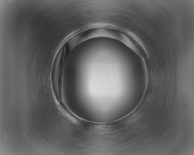 X0000084011330200702161151