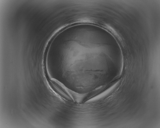 X0000084011331200702161151