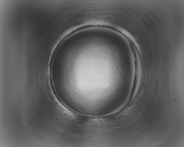 X0000084011335200702161151