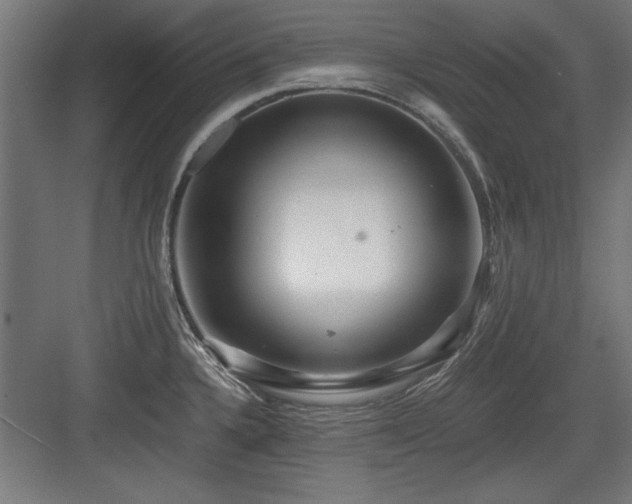 X0000084011336200702161151