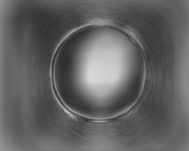 X0000084011343200702161152