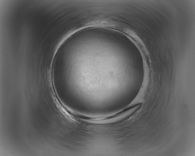 X0000084011344200702161152