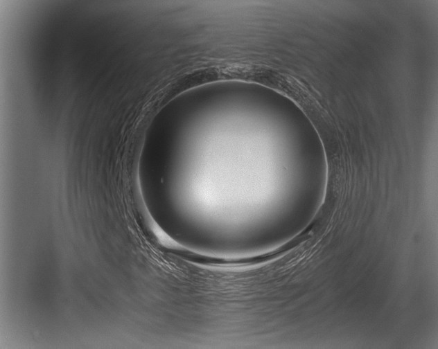 X0000084011345200702161151