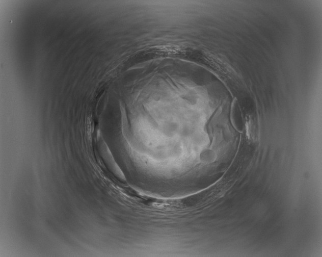 X0000084011347200702161151