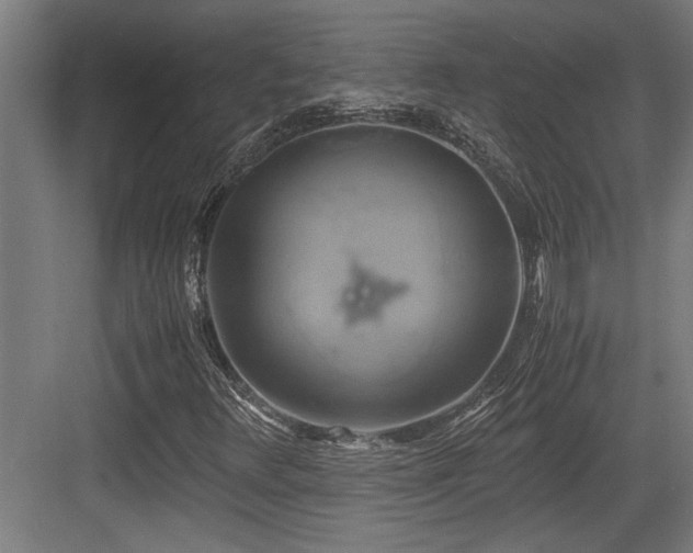 X0000084011348200702161151