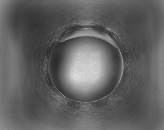 X0000084011349200702161151
