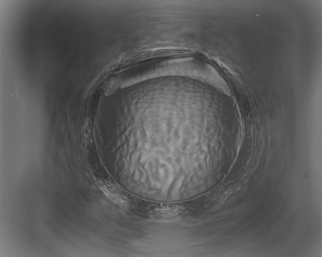 X0000084011351200702161151
