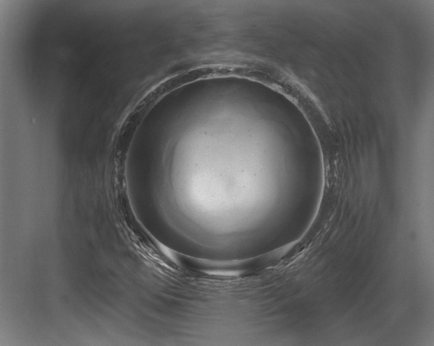 X0000084011352200702161151
