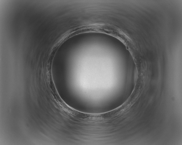 X0000084011354200702161151