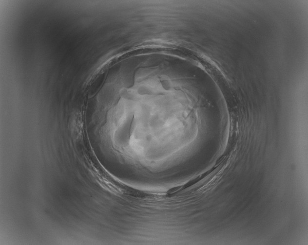 X0000084011355200702161151