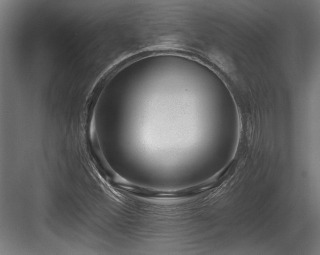 X0000084011356200702161151