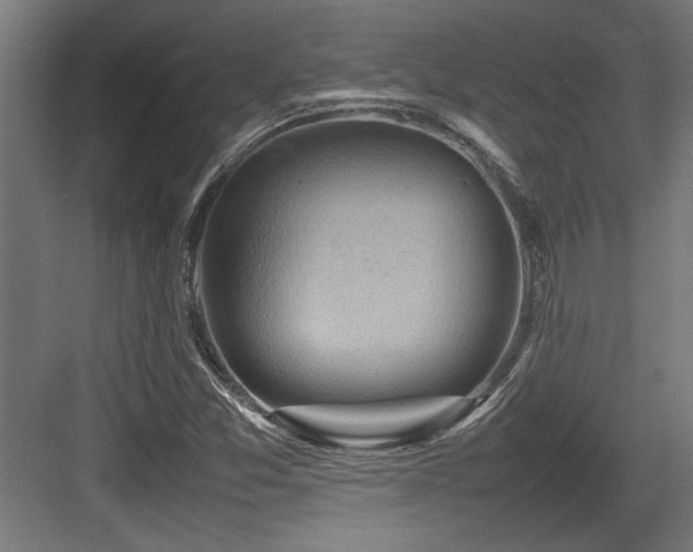 X0000084011357200702161151
