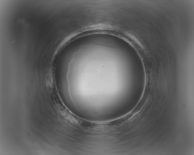 X0000084011358200702161151