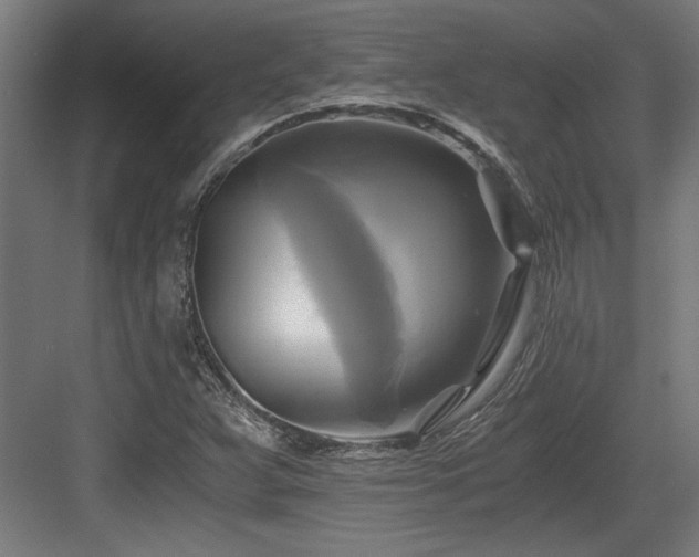 X0000084011359200702161150