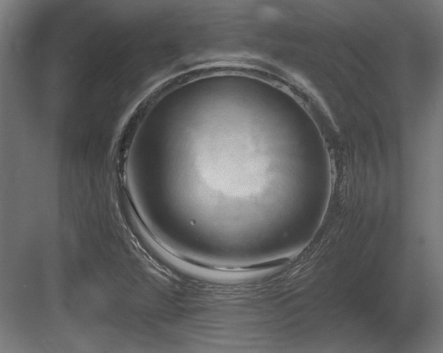 X0000084011360200702161150