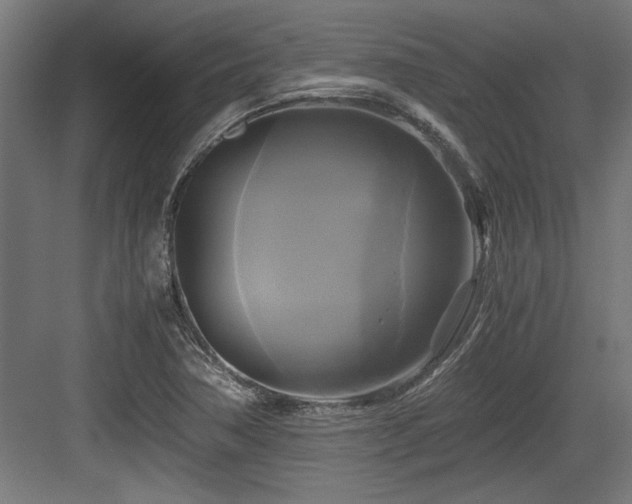 X0000084011362200702161150
