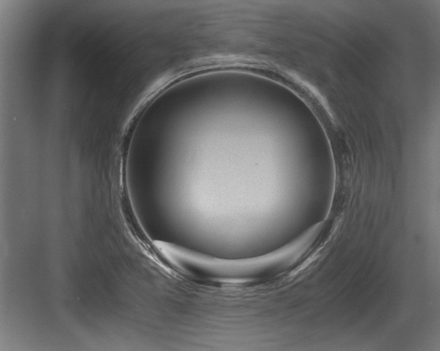 X0000084011365200702161150