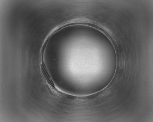 X0000084011366200702161150
