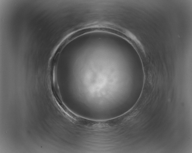 X0000084011368200702161150