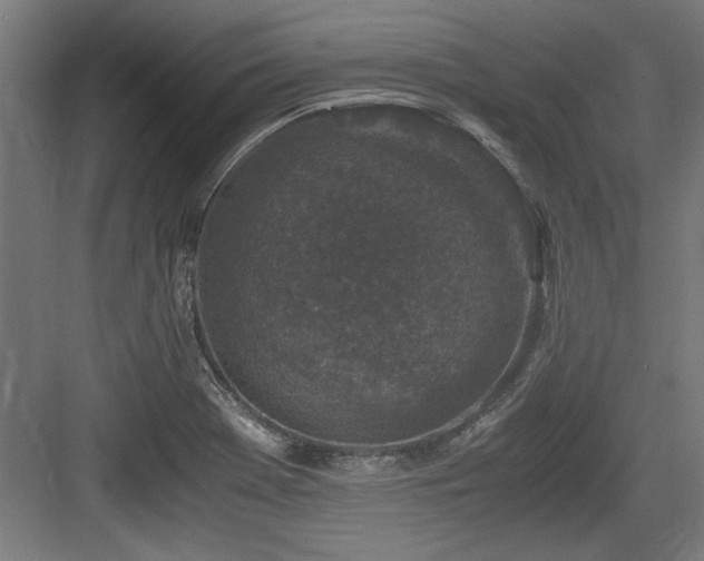 X0000084011369200702161150
