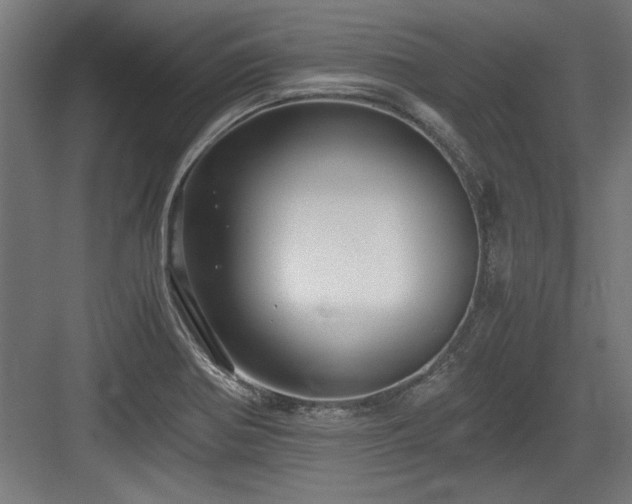 X0000084011370200702161150