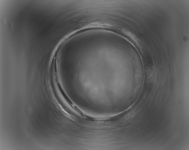 X0000084011371200702161150