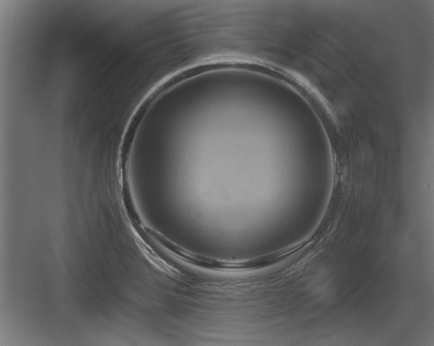 X0000084011372200702161150
