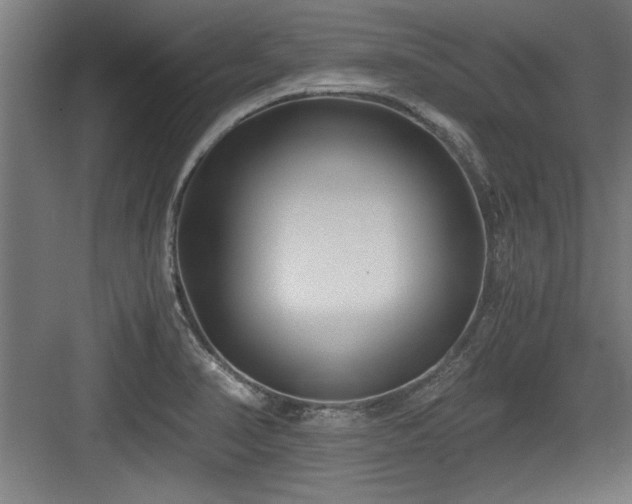 X0000084011374200702161150
