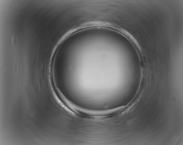 X0000084011381200702161150