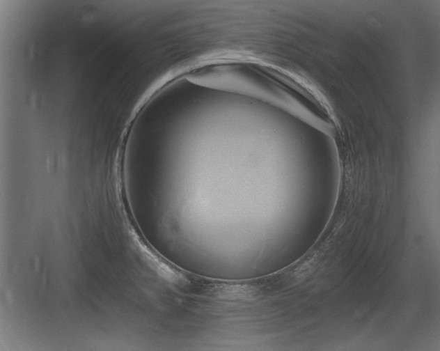 X0000084011382200702161150