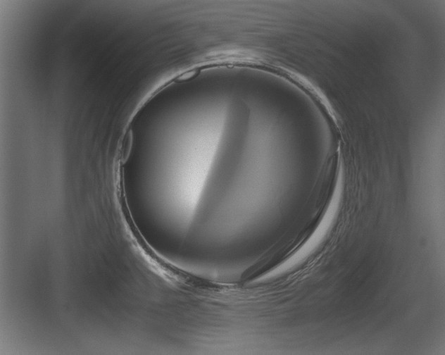 X0000084011383200702161150