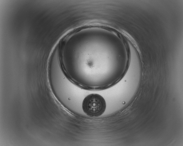 X0000084011384200702161150