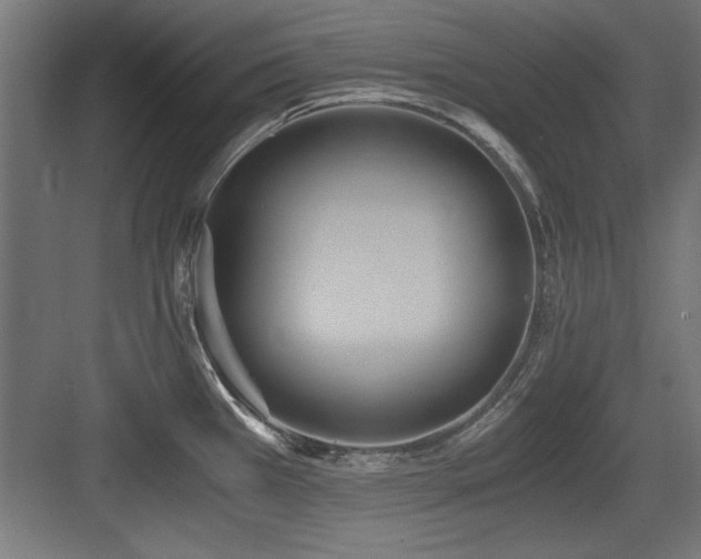 X0000084011385200702161150