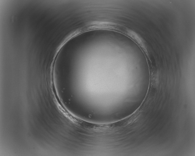 X0000084011386200702161150
