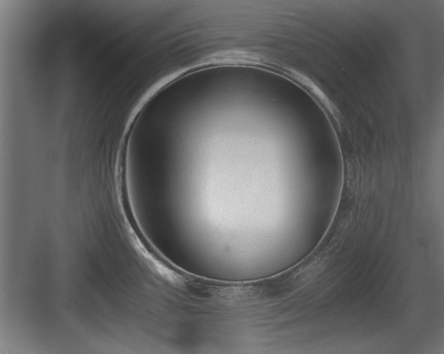 X0000084011387200702161150