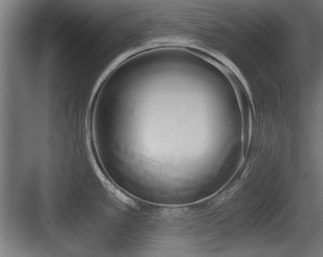 X0000084011389200702161150