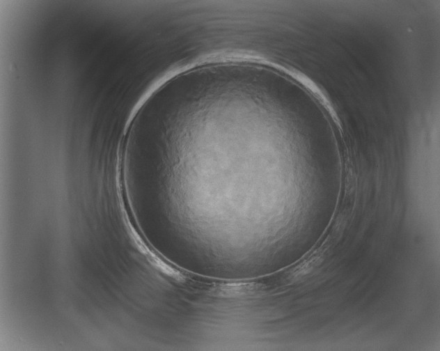 X0000084011390200702161150