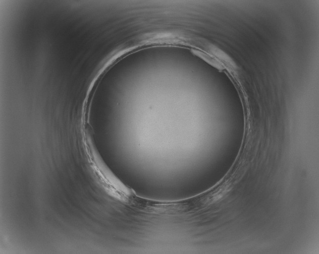 X0000084011392200702161150