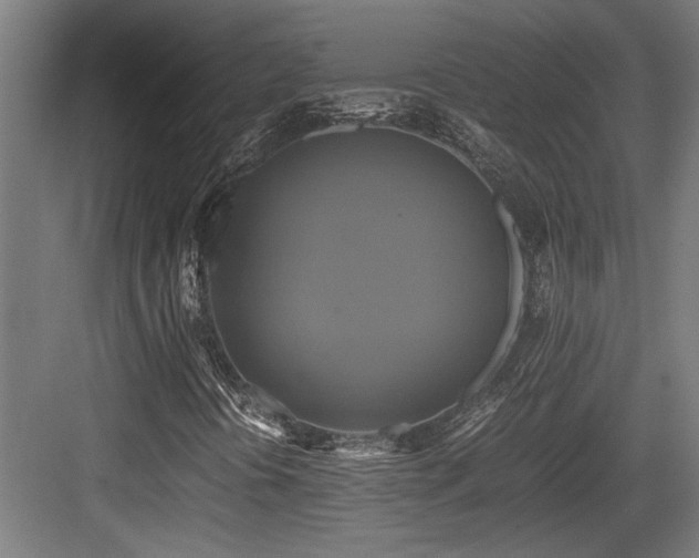 X0000084011394200702161149