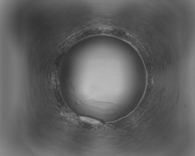 X0000084011397200702161149