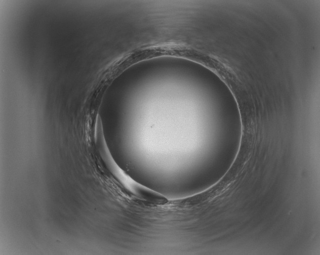 X0000084011398200702161149