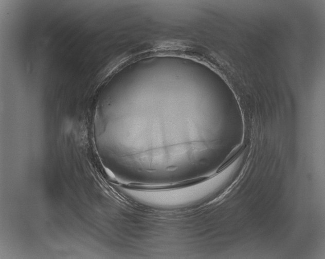 X0000084011401200702161149