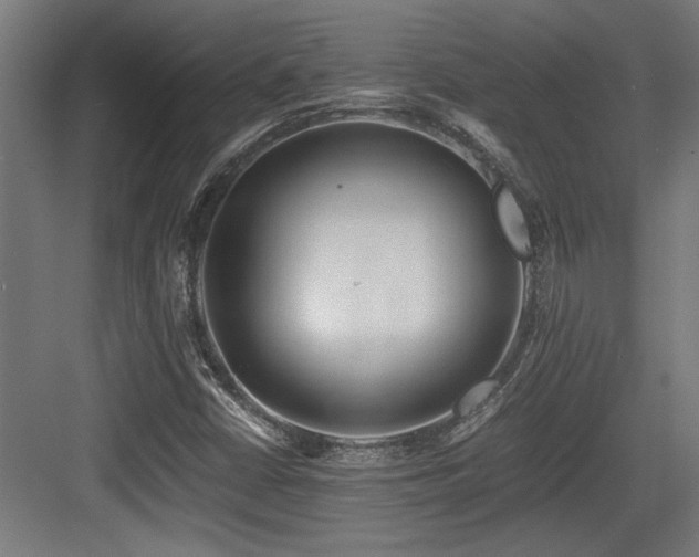 X0000084011402200702161149