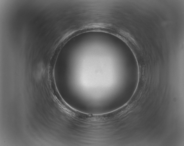 X0000084011404200702161149