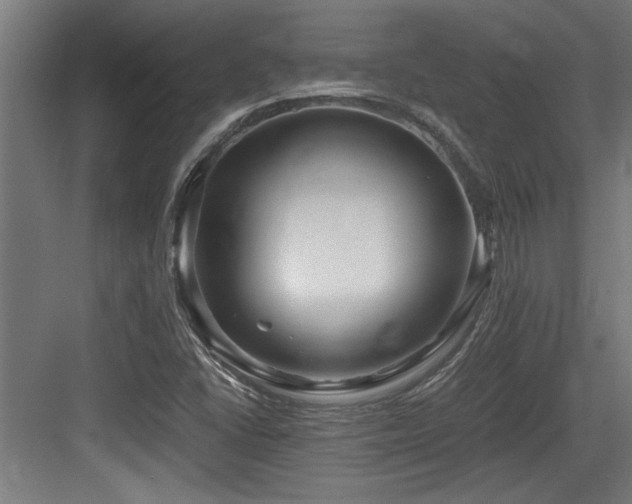 X0000084011406200702161149