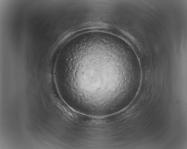 X0000084011407200702161149