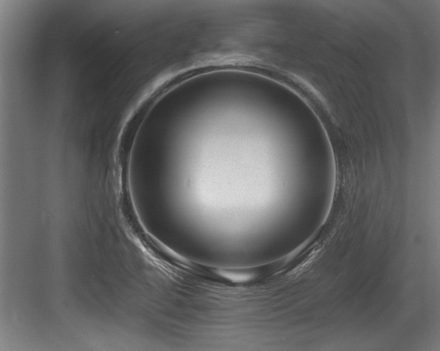 X0000084011414200702161149