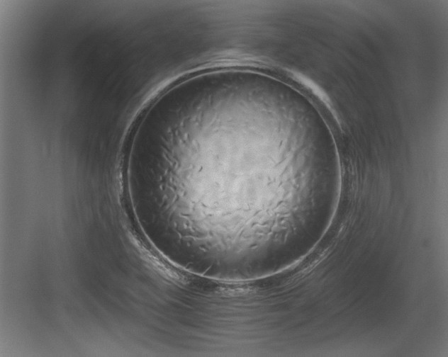 X0000084011415200702161150
