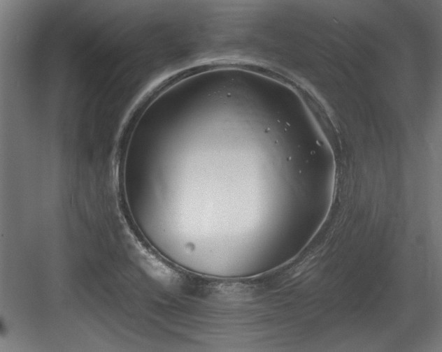 X0000084011416200702161150