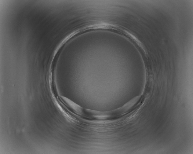 X0000084011418200702161150